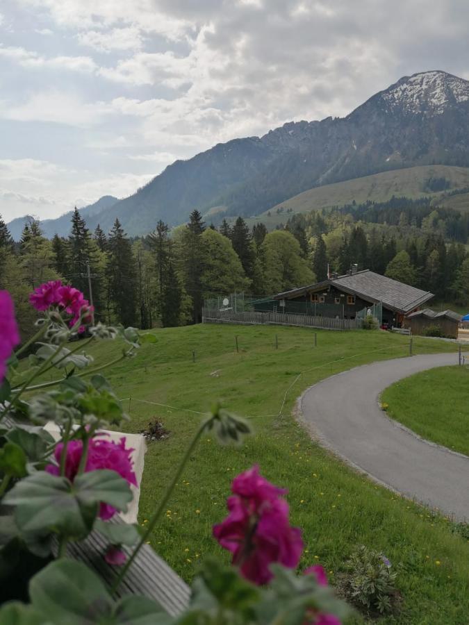 Haus Obweg - Postalm Aparthotel Hallein Eksteriør bilde