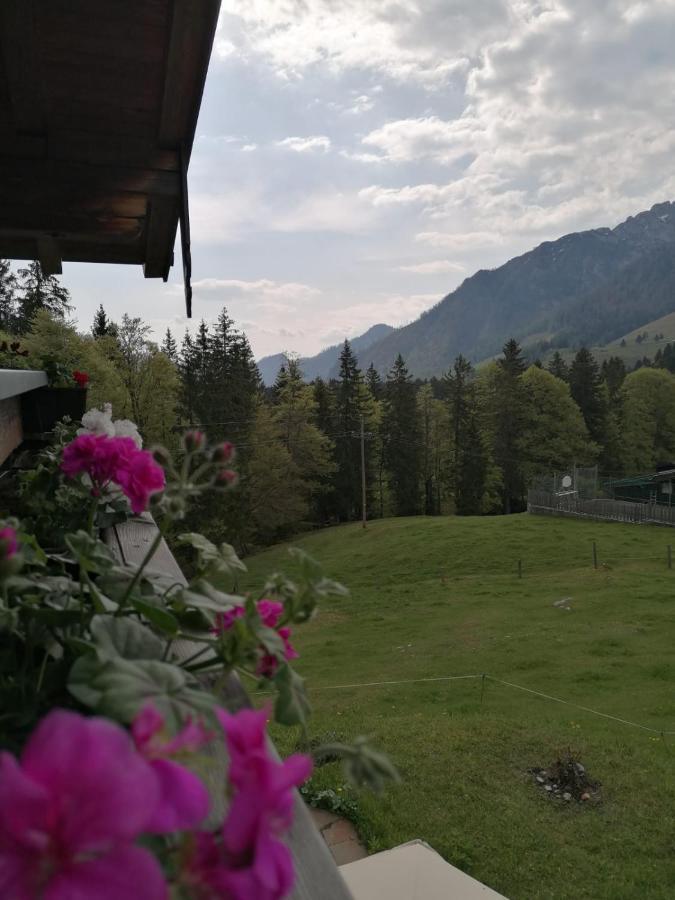 Haus Obweg - Postalm Aparthotel Hallein Eksteriør bilde